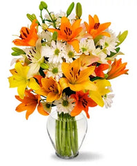 Celestial Lilies Bouquet bloomexusa