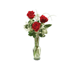 Classic Bud Vase Roses bloomexusa