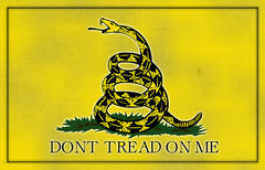Don't Tread On Me 8" x 12" Sign