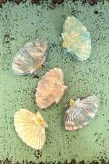 Large Seashell Hair Claw