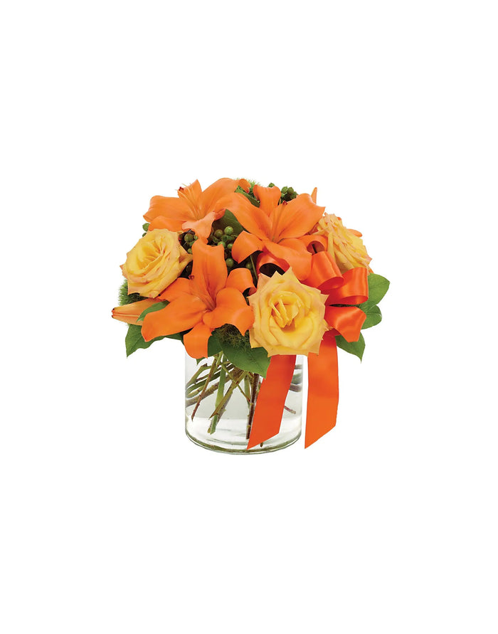 TANGERINE TANGO SURPRISE bloomexusa