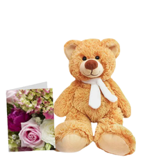 Teddy & Card Special bloomexusa