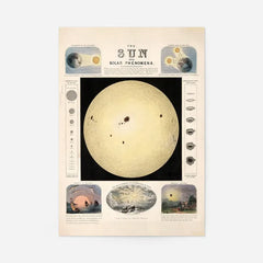 The Sun and solar phenomena art print, educational poster, unframed