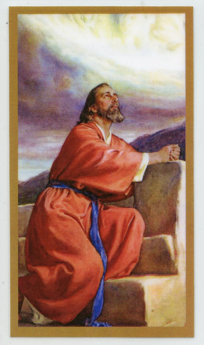 A Prayer for Liver Disease U - LAMINATED HOLY CARDS- QUANTITY 25 PRAYER CARDS