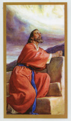 A Prayer for Liver Disease U - LAMINATED HOLY CARDS- QUANTITY 25 PRAYER CARDS