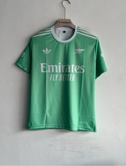 ARSANEL 25-26 GK KIT RAYA