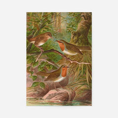 European Robin Vintage Bird Print by Johann Friedrich Naumann, unframed