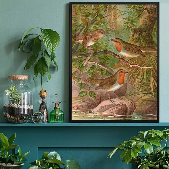 European Robin Vintage Bird Print by Johann Friedrich Naumann black framed on a living room shelf