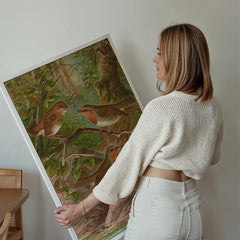 European Robin Vintage Bird Print by Johann Friedrich Naumann held up against a living room wall