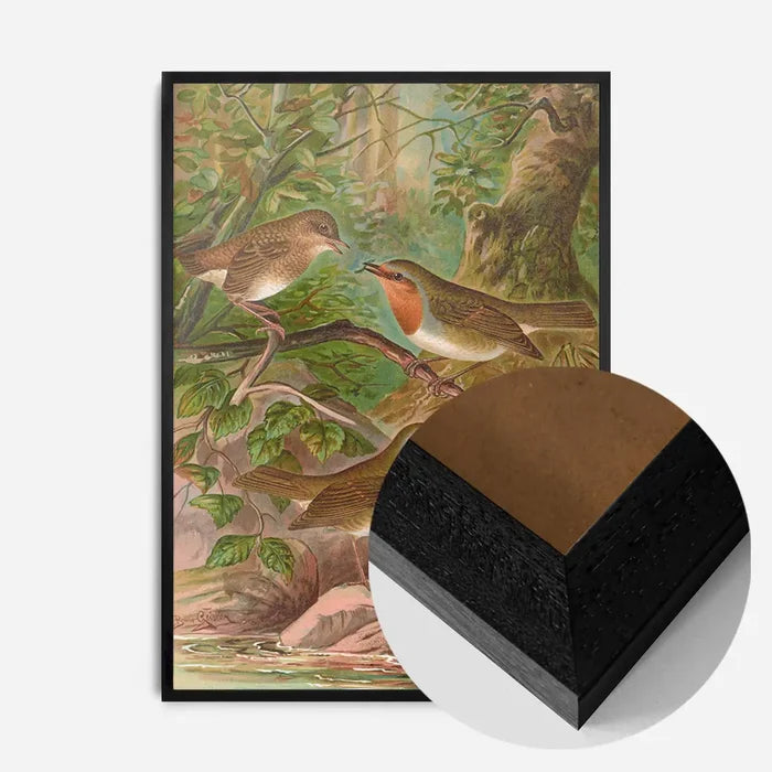 21x30cm | 8¼ x 11¾in / Black Wood Frame