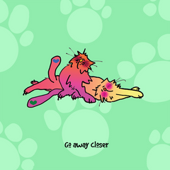 "Go away closer" WHIMSHOTS CANVAS