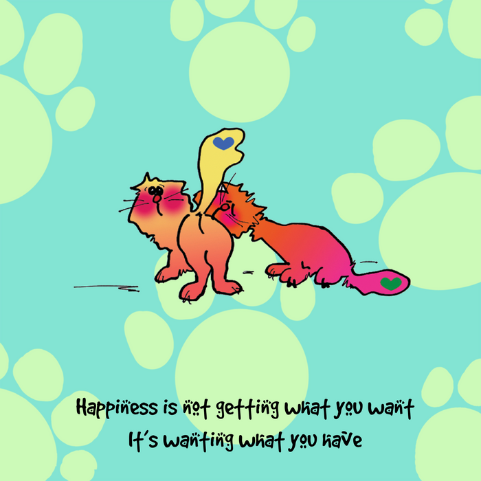 "Happiness is not getting what you want" WHIMSHOTS CANVAS