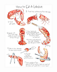 How to Eat a Lobster Table Card, Set of 4 -