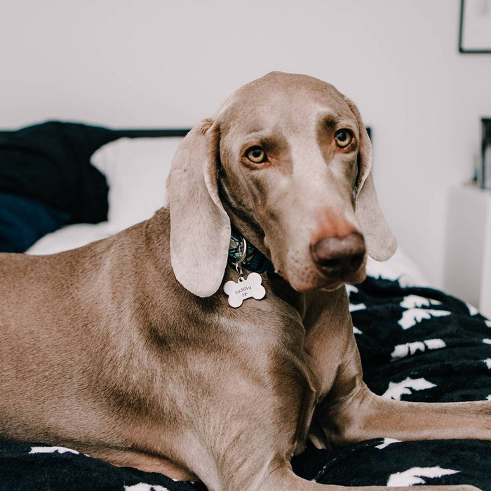 Personalized HOMETOWN BITCH Pet ID Tag Salt and Sparkle