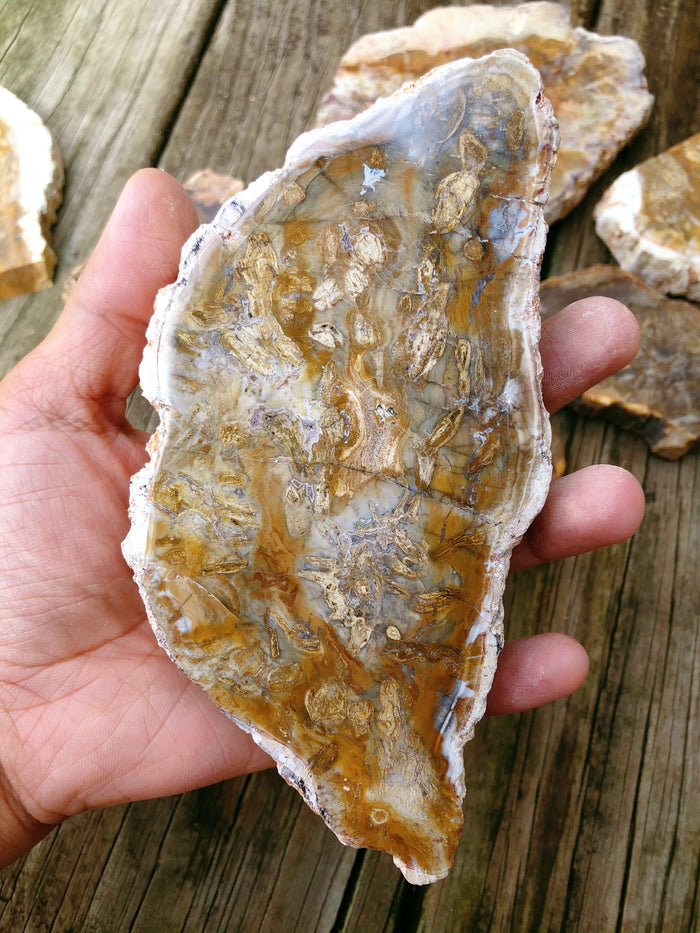 About 5-5.5” B1