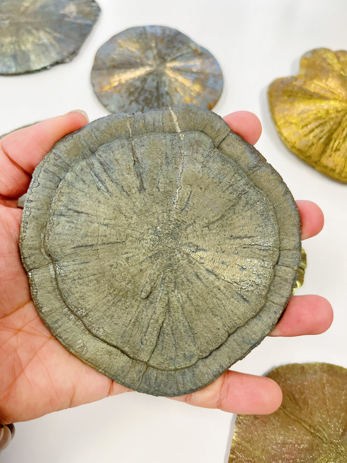 Pyrite Sun