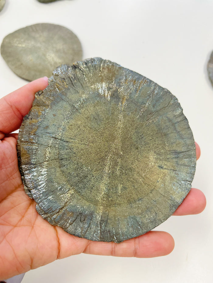Pyrite Sun