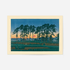 The August Edit A4 Bundle - All 16 Prints!, set of prints shown together unframed (2)