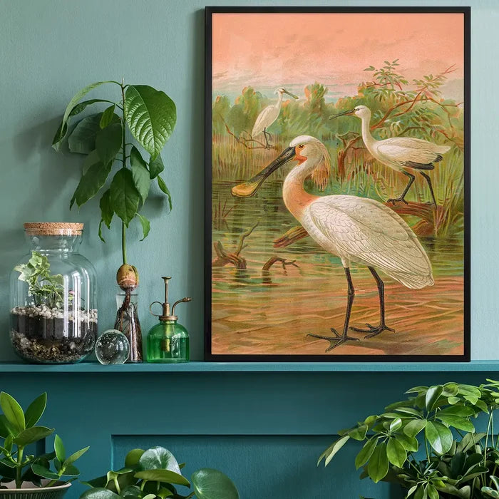 Spoonbill Vintage Bird Print by Johann Friedrich Naumann black framed on a living room shelf