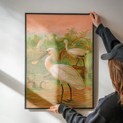 Spoonbill Vintage Bird Print by Johann Friedrich Naumann being hung on a wall in a black frame