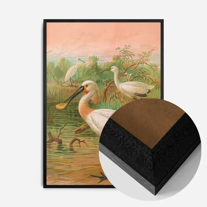 21x30cm | 8¼ x 11¾in / Black Wood Frame