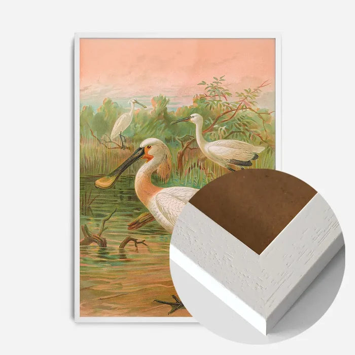 21x30cm | 8¼ x 11¾in / White Wood Frame
