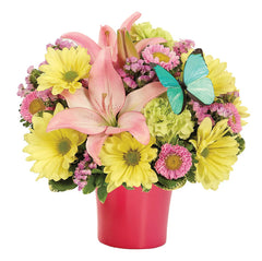 Springtime Delight bloomexusa