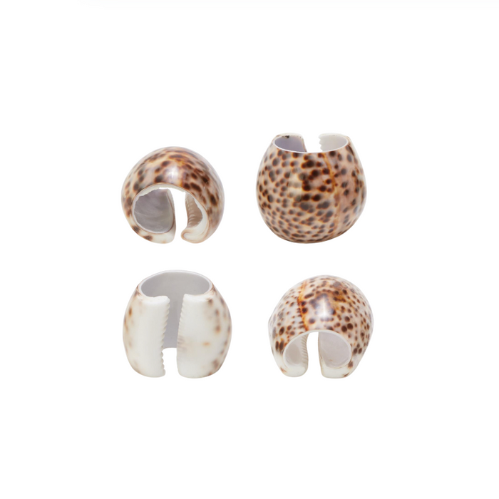 Tiger Cowrie Shell Napkin Holders, Set of 4