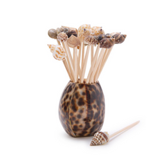 Tiger Cowrie Shell with Sea Shell Picks