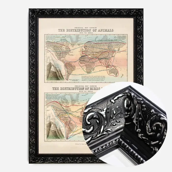 21x30cm | 8¼ x 11¾in / Black Ornate Frame