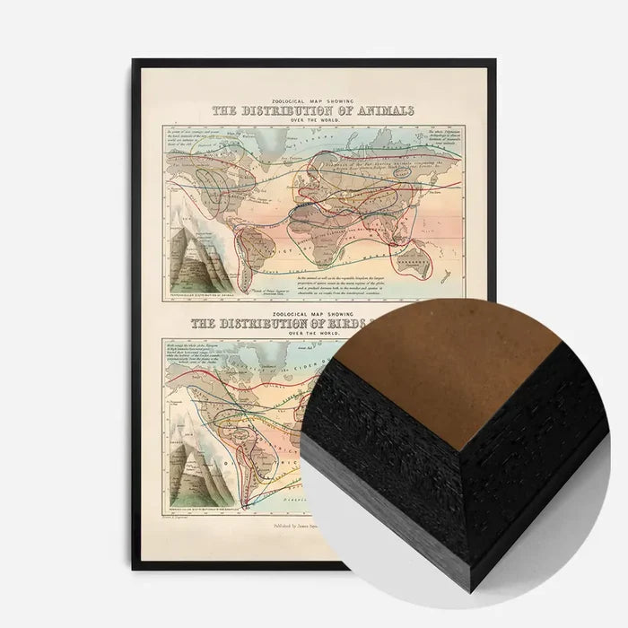 21x30cm | 8¼ x 11¾in / Black Wood Frame