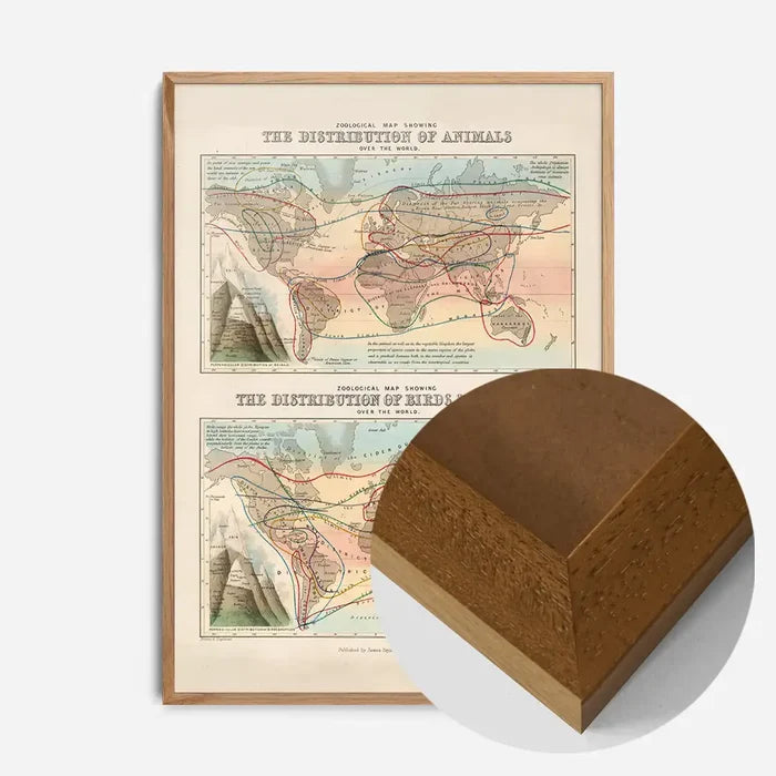 21x30cm | 8¼ x 11¾in / Oak Wood Frame