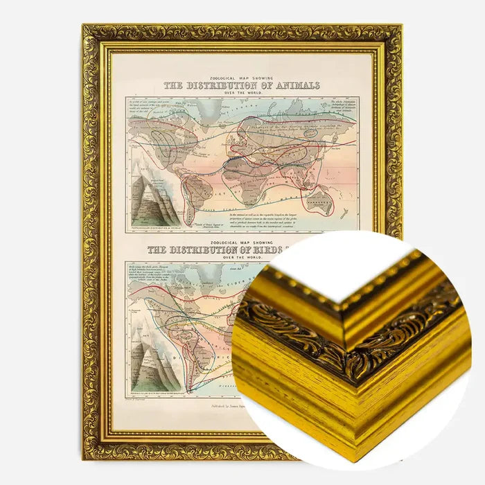 21x30cm | 8¼ x 11¾in / Gold Ornate Frame